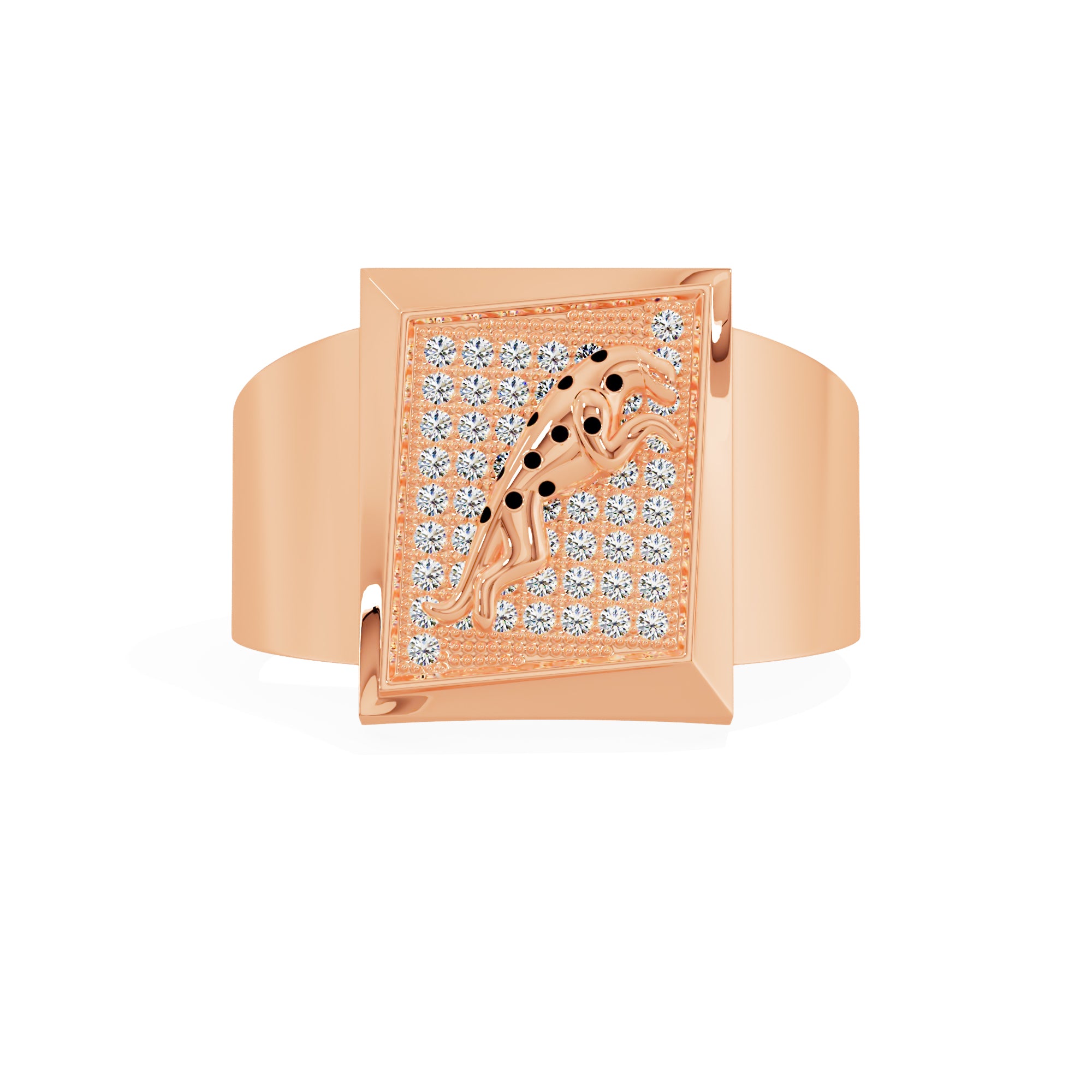 Inscription Canon Ring