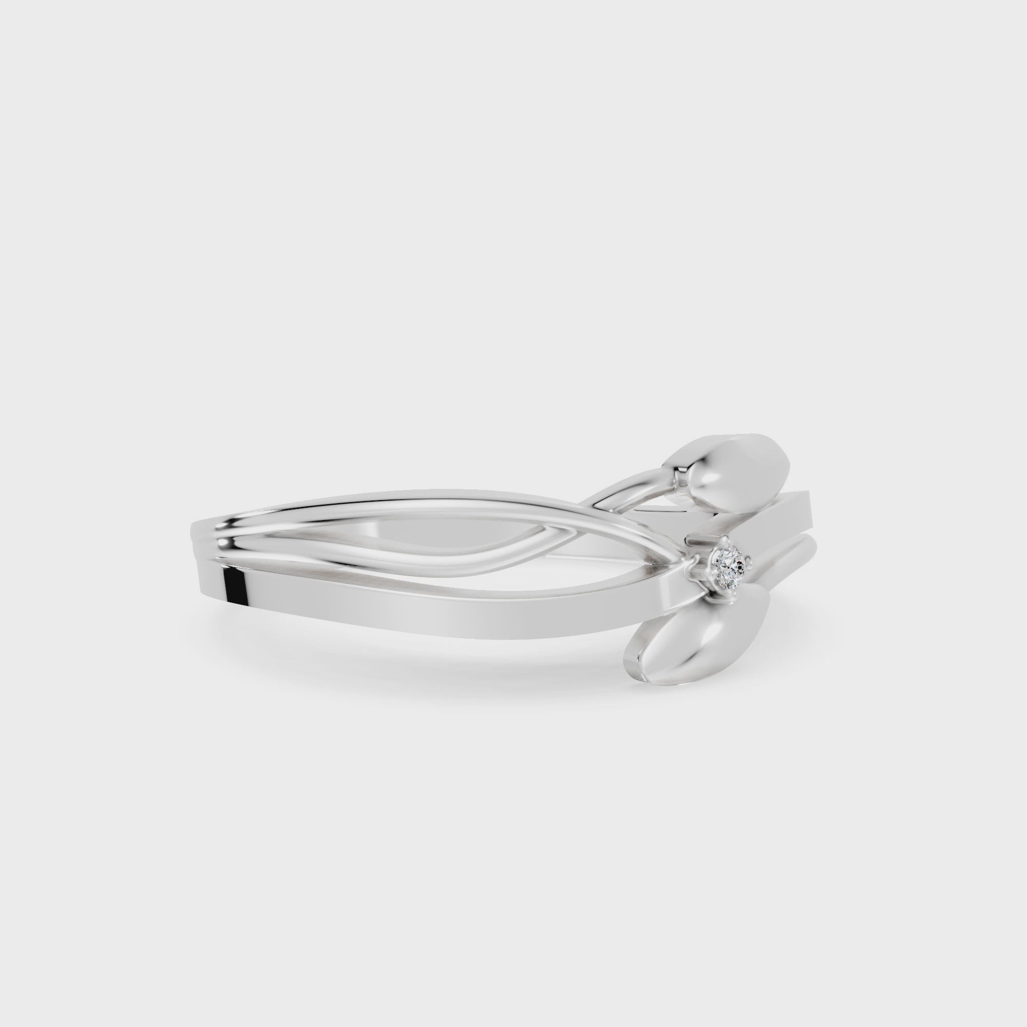 RING_WG
